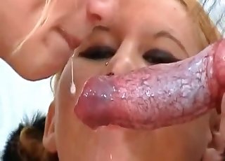 Kurac