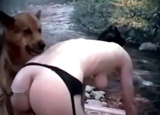 Psi